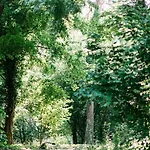 Maison Bogart