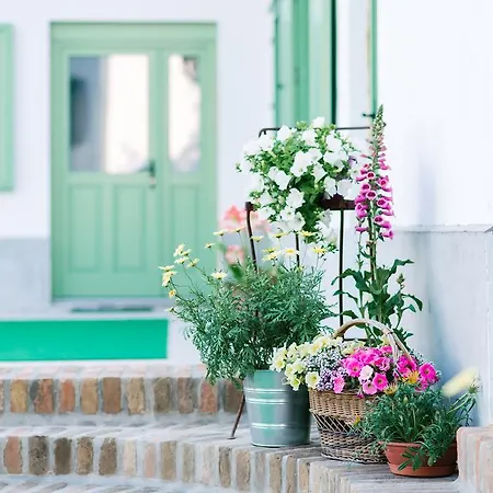 Maison Bogart *