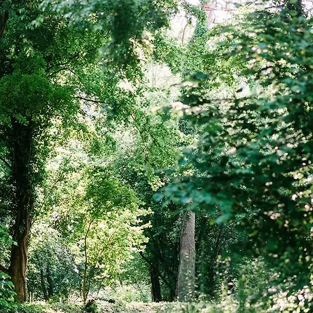 Maison Bogart